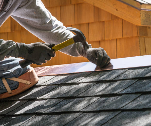 Best Roof Gutter Cleaning  in Kearney, MO